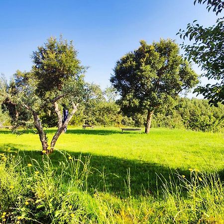 Casa Florestal - Pure Nature Cabins Fatela Екстериор снимка